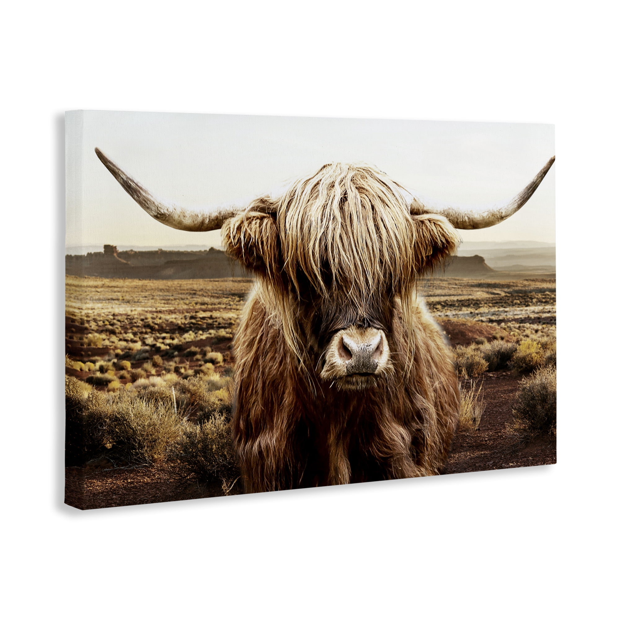 Stupell Industries Rugged Vegetation Cattle Portrait Canvas Wall Art, design by CAD Designs