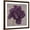 Brown Frame, variant on Art.com Black Plum 1 Stretched Canvas Print Wall Art by Ariane Martine, 24" x 24"
