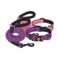 thumbnail image 5 of CSCHome Dog Collar /Leash Set Locking Buckle Nylon Pet Collars Adjustable 4 Sizes for Small Medium Supplies, 5 of 5