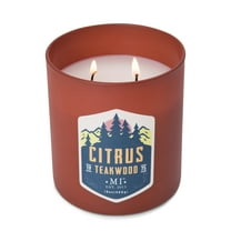 Manly Indulgence Citrus Teakwood Scented Jar Candle, Premium Scented Candles for Men with High Fragrance and Premium Cotton Wick, All American Collection, 15 oz - Up To 60 Hours Burn