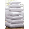High Quality- Polyester Pillow Inserts with Zippered Cover - Size 10x10