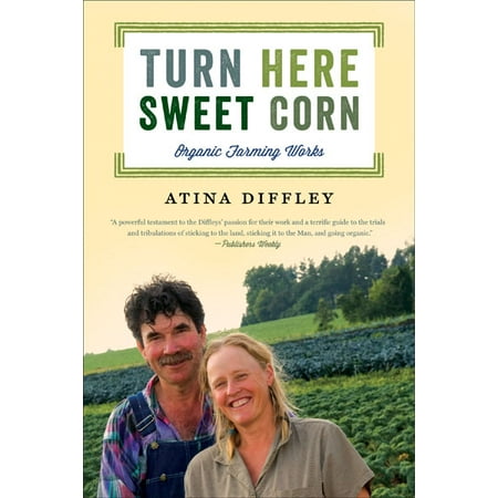 Turn Here Sweet Corn : Organic Farming Works (Best Sweet Corn Ever)