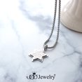 thumbnail image 3 of 555Jewelry Stainless Steel Star of David Necklace for Men & Women, Box Chain Patterned Star Of David Necklace for Women, Small Jewish Star Necklace, Mens Jewish Star Necklace, 20 Inch, Silver, 3 of 9