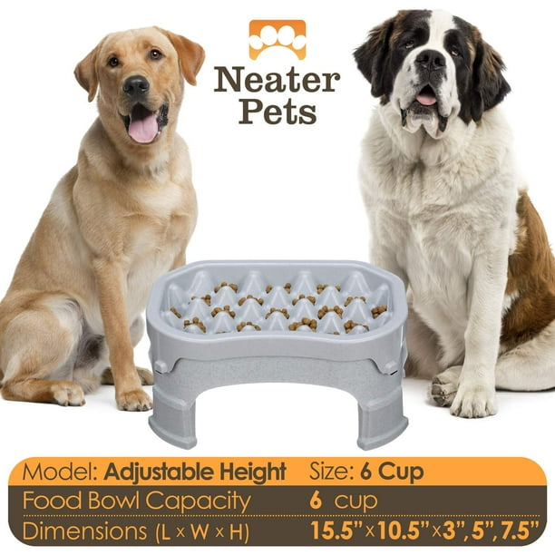 Neater feeder walmart cheap