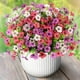 thumbnail image 1 of Flores artificiales ZFProcess, plantas artificiales para exteriores, 12 paquetes, 1 of 7