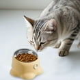 thumbnail image 1 of Plat Surélevé pour Animaux avec Base en Acier Inoxydable Robuste pour une Expérience de Repas Confortable en Intérieur, 1 of 3