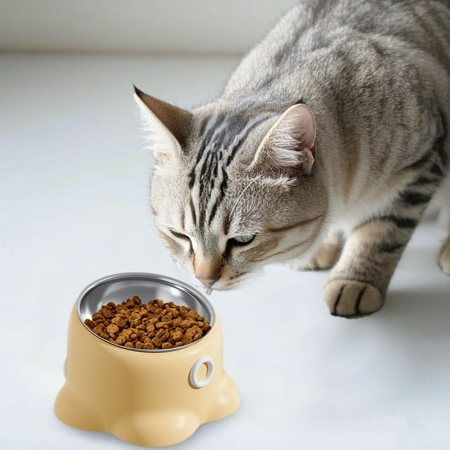 Plat Surélevé pour Animaux avec Base en Acier Inoxydable Robuste pour une Expérience de Repas Confortable en Intérieur