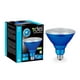 Xtricity Ampoule LED Type PAR38/7W/120V/E26/ Couleur Bleue Intérieur et Extérieur 1pk – image 1 sur 4