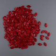 thumbnail image 4 of Prettyia DIY de acrílico hecho a mano bolso bandolera fabricación rojo Zulema Material de costura para bolsos, 4 of 8
