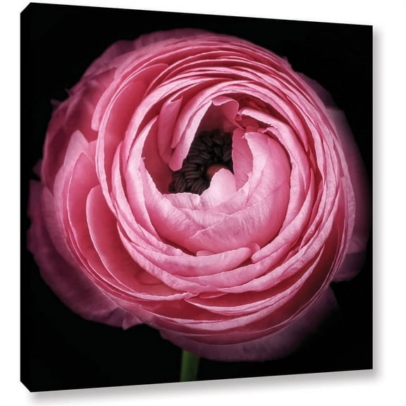 ArtWall Cora Niele "Pink II" Gallery-Wrapped Canvas
