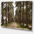 thumbnail image 2 of Date Palm Plantation Photography - Modern Forest Canvas Art, 2 of 4