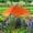 Orange, variant on PBAZIH Large Garden Parasol with Plant Stake, Outdoor Umbrella for Sunlight Shade and Rain Protection, Perfect for Potted Plants, Durable Metal Frame, Decorative Garden Canopy