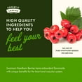 thumbnail image 5 of Swanson Herbal Supplements Hawthorn Berry 565 mg Capsule 250ct, 5 of 7