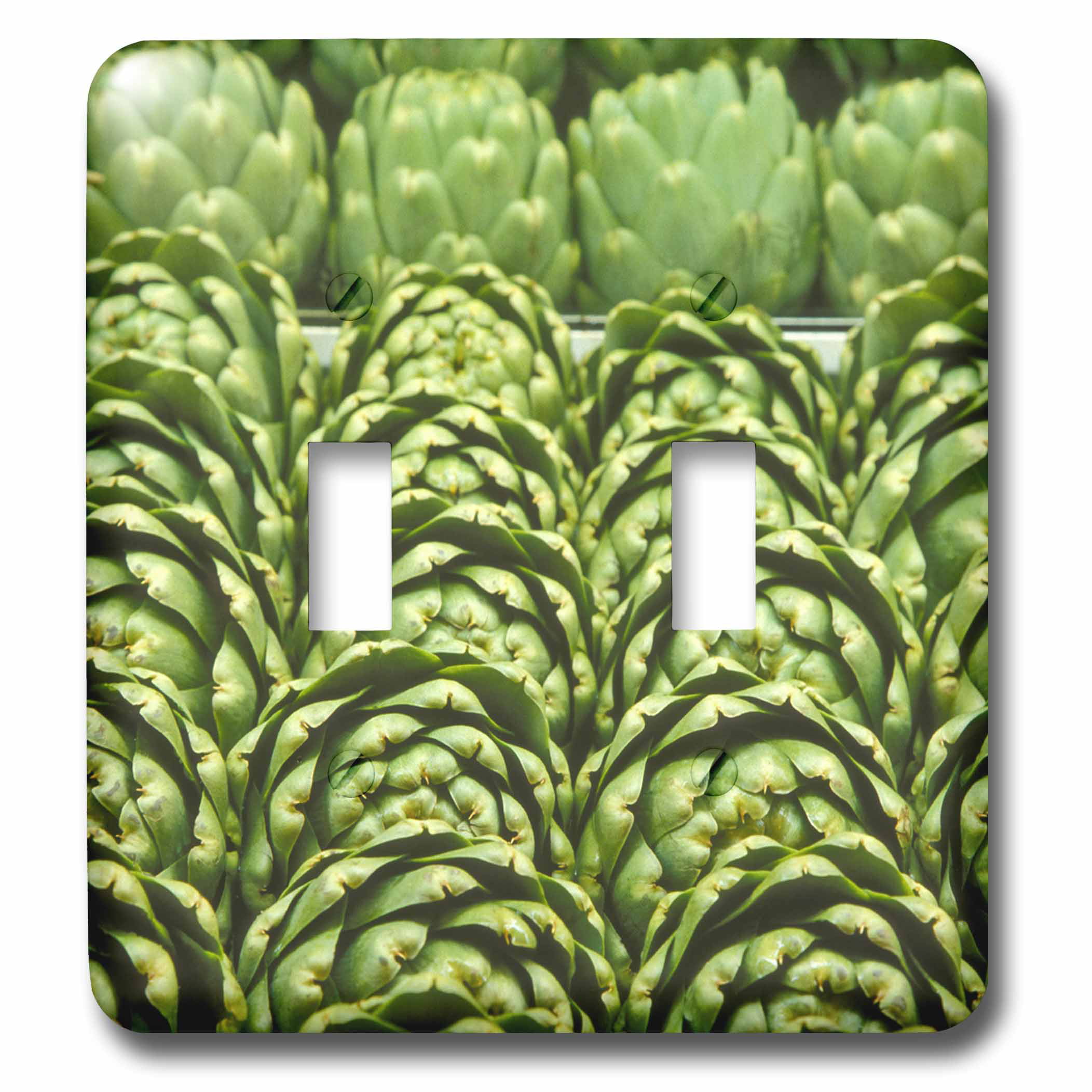 set of 6 3dRose Rows of green artichokes LI11 JMI0001 6 x 6 inches gc_83265_1 Greeting Cards Janis Miglavs Vegetables