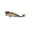 Ghost Sexy, variant on Duckett Fishing BD60 Topwater Popper, High-Performance Lure for Explosive Bass Strikes and Surface Action, Ghost Sexy