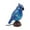 Blue, variant on Ployzin Sheremart Cardinal Lamp Stained Glass, Olygee/Pubyfun Resin Cardinalis Night Light Christmas Decorations, Red Bird Cardinalis Night Warm Memorial Light for Christmas Decor, Home,Office(1pcs)