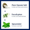 thumbnail image 2 of Dr Teal's Body Wash, Relax & Relief with Eucalyptus & Spearmint 24 oz (Pack of 6), 2 of 6