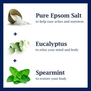 Dr Teals Body Wash, Relax & Relief with Eucalyptus & Spearmint 24 oz (Pack of 2)