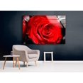 thumbnail image 4 of HelloGlass Red Rose Wall Art Tempered Glass Wall Art Flower Modern Decor Glass Printing Wall Art Tempered Glass Panel Floral Wall Art Nature Landscape Wall Art 24x16inch, 4 of 9