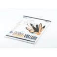 thumbnail image 2 of Borden & Riley - #120V Bristol Vellum Pad - 9" x 12" - 20 Shts./Pad, 2 of 2
