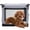 Gray, variant on Sweetcrispy Portable Soft-Sided Dog Crate, Folding Travel Kennel with 3 Doors & Storage Pocket, Lightweight Oxford Fabric, Black, 30 lb Limit