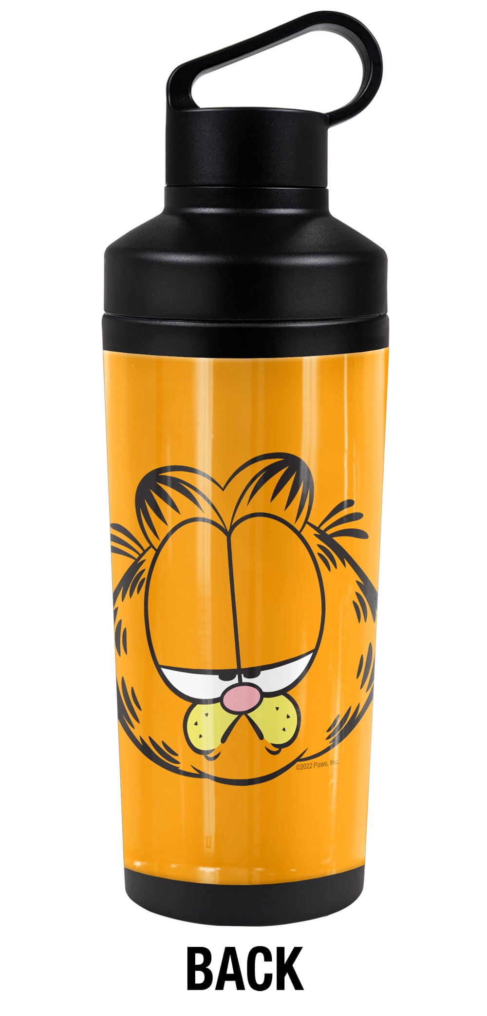 Garfield Official Garfield Big Head 18 oz Insulated Water Bottle, Leak Resistant, Vacuum Insulated Stainless Steel with 2-in-1 Loop Cap