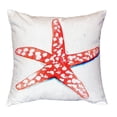 thumbnail image 3 of Coral Starfish No Cord Pillow 18x18, 3 of 3