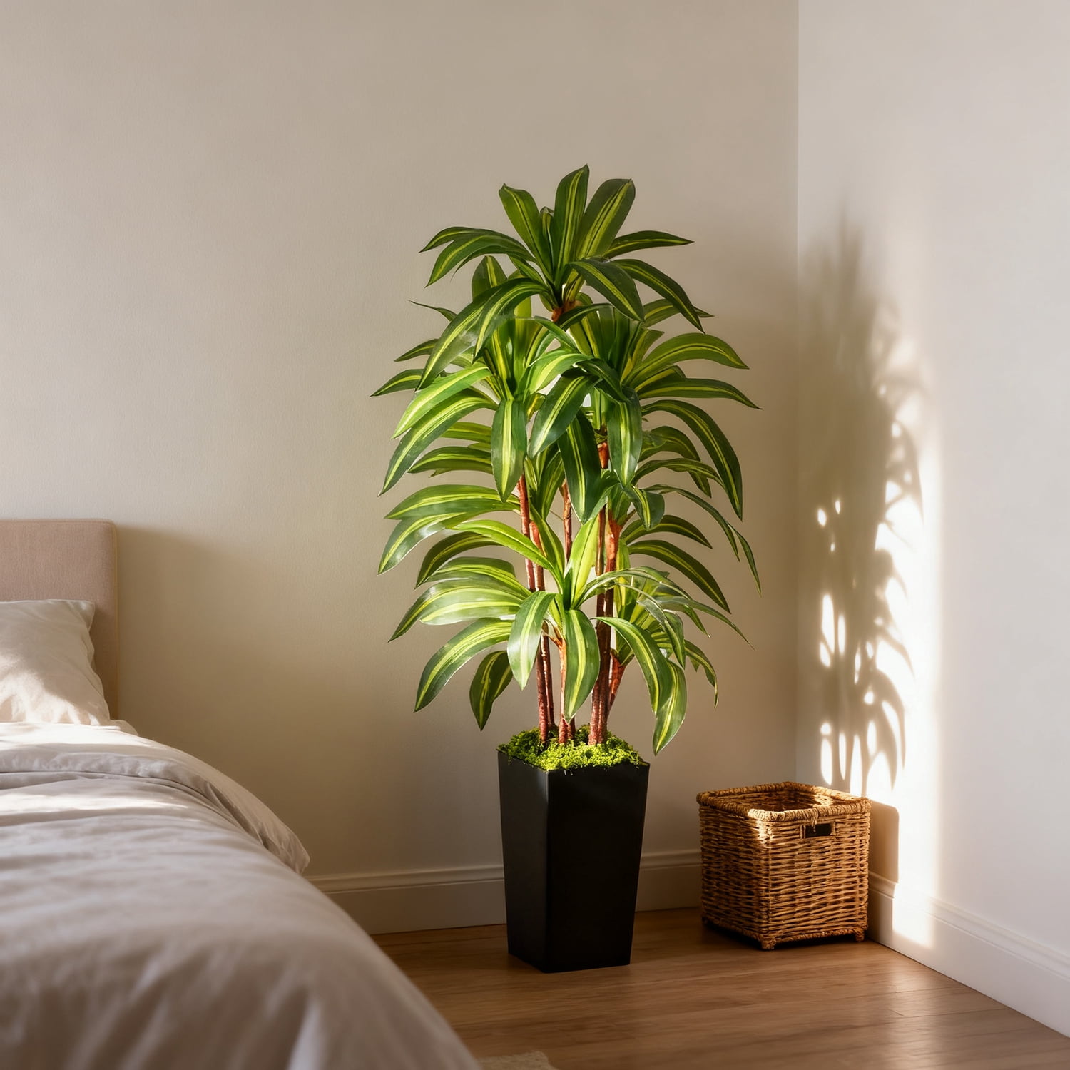 NOVAROOT Artificial Dracaena Tree 5FT, Faux Tree with Black Tall Planter, Fake Tropical Floor Plant, Artificial Silk Tree for Home Office Living Room Decor Indoor