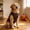Black, variant on Halloween Dog Clothes Dog Halloween Shirts Tank Tops with Claw Spider Net Pumpkin Patterns Pet Halloween Costumes Puppy Shirt Vest for Small Medium Dogs