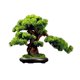 thumbnail image 1 of Planta de simulación for sala de estar, bonsái, plantas verdes de interior, plantas en maceta, árbol falso grande, adornos de decoración de paisaje de escritorio, 1 of 6