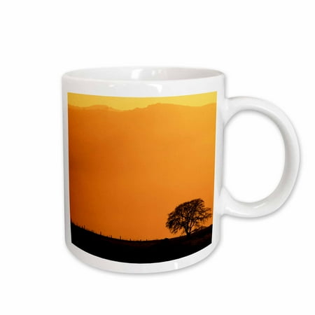 3drose, Oak Tree, Mount Diablo State Park, California, Usa - Us05 Iho0175 - Inger Hogstrom, 15oz Mug