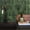 Sefrou Green, variant on Peel And Stick Backsplash - 5 Sheets Of 11.43'' X 9'' 3d Adhesive Tile For Kitchen Bathroom Wall Sefrou Green