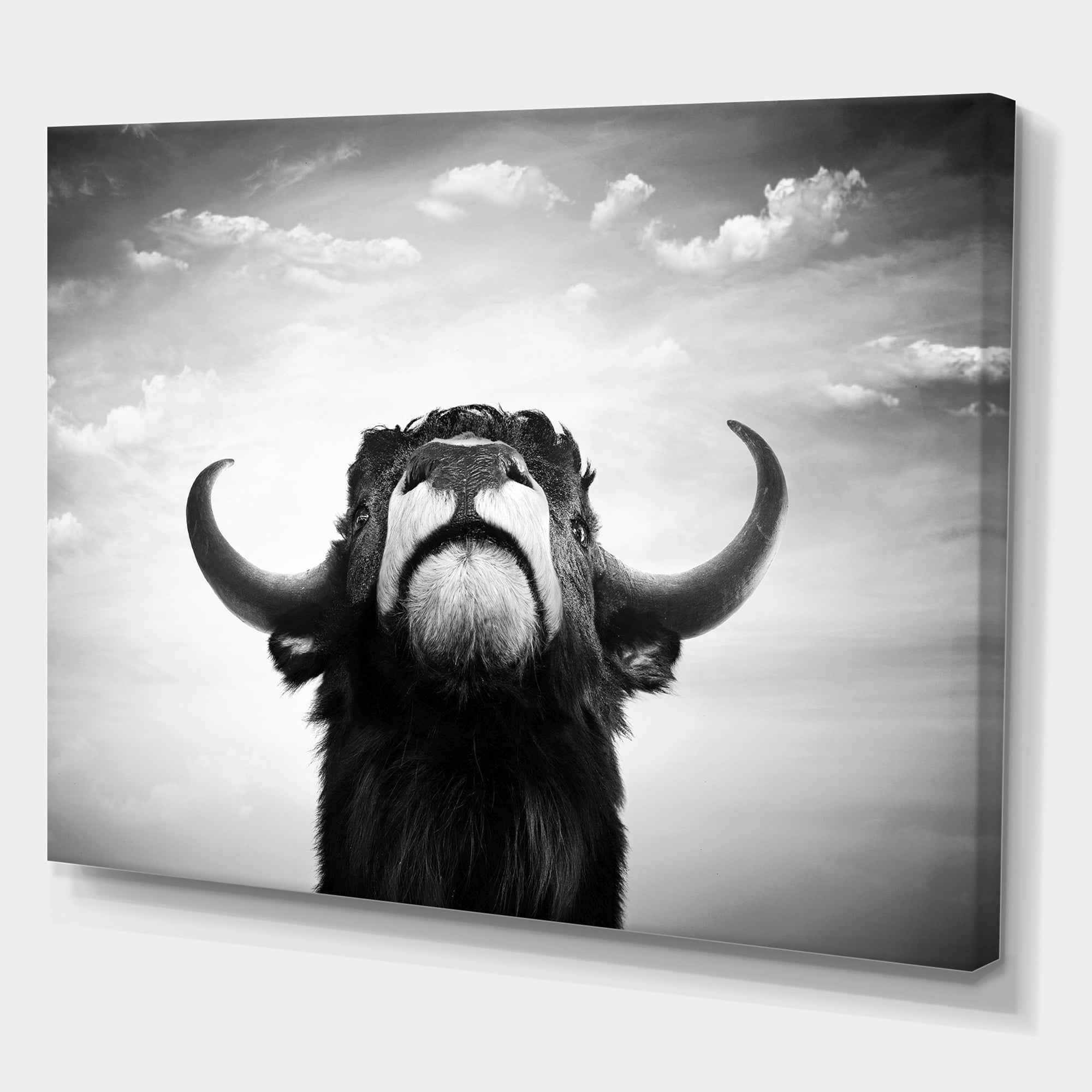 Designart ' Black and White Portrait Of A Spanish Bull I ' Farmhouse Canvas Wall Art Print