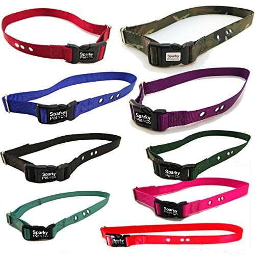 petco citronella collar