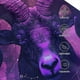thumbnail image 3 of Fotbe Purple Starry Sky Antelope Gorro Clásico de Béisbol, Gorra Ajustable con Broche Snapback, Gorro de Exterior de Algodón Suave, 3 of 6