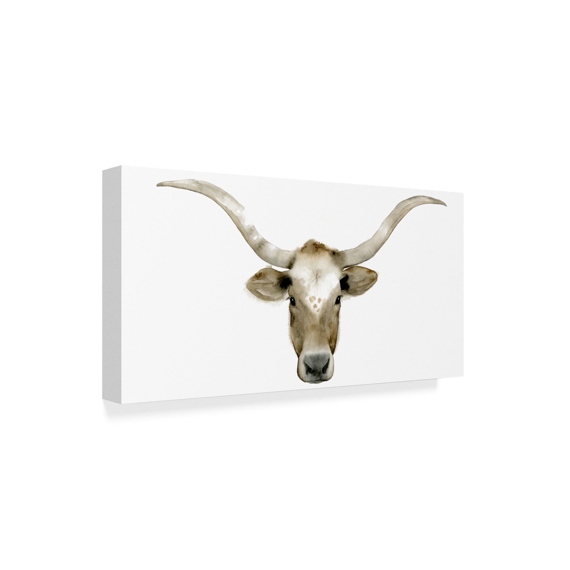 Trademark Fine Art 'Longhorn Steer II' Canvas Art by Grace Popp