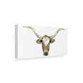 thumbnail image 2 of Trademark Fine Art 'Longhorn Steer II' Canvas Art by Grace Popp, 2 of 4