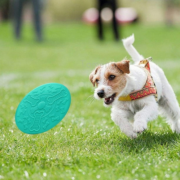 Indestructible frisbee 2025 dog toy