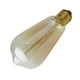thumbnail image 2 of Foco incandescente Sanelec Sanelec Vintage Tipo Edison 1732, 2 of 2