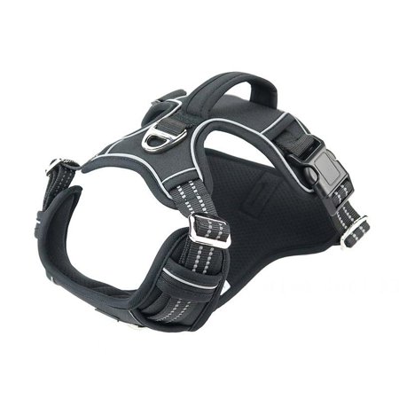 bangyoudaoo Dog Harness for Small Medium Dogs No Pull  Dog Harness and Leash Set  Reflective Breathable Mesh Dog Vest Harness  Lightweight Adjustable Dog Harness Black M