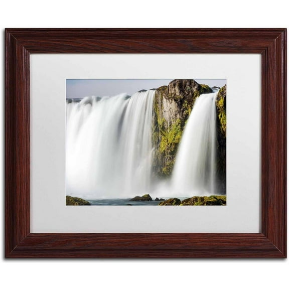 Trademark Fine Art 'White Noise' Canvas Art by Philippe Sainte-Laudy, White Matte, Wood Frame