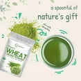 thumbnail image 4 of Micro Ingredients Organic Wheat Grass Powder (100% Whole-Leaf), 16 Ounce, Sustainably US Grown, 4 of 6