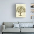 thumbnail image 3 of Silvia Vassileva 'Ethereal Tree II' Canvas Art, 3 of 3