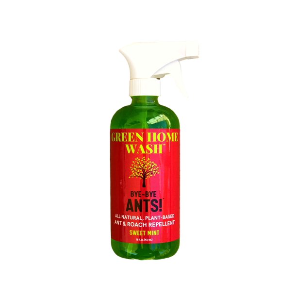 Natural Ant & Roach Spray, Kills Repels & Prevents, Mint Scent, Ready