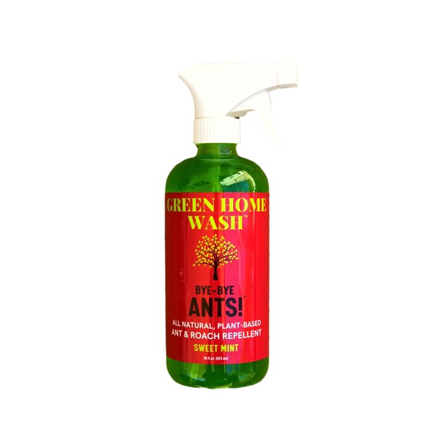 Natural Ant & Roach Spray, Kills Repels & Prevents, Mint Scent, Ready