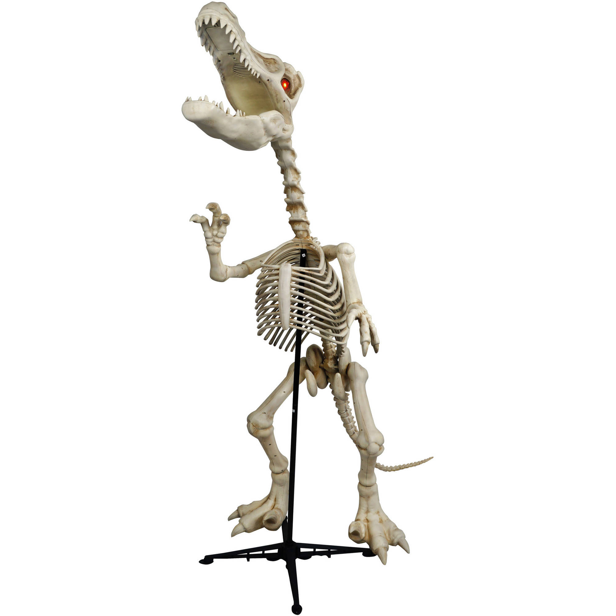 6 ft. Standing Skeleton Raptor with LED Illuminated Eyes Halloween Decoration - image 3 of 3
