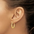 thumbnail image 3 of Primal Gold 10 Karat Yellow Gold Lightweight Classic Earrings, 3 of 4