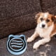 thumbnail image 2 of Slow Feeder Cat Bowl - Anti-Choking Dog Food Bowls,Blue Anti-Slip Anti-Chocking Slower Feeding Dog Bowl, Pet Feeding Supplies, 2 of 4