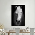 thumbnail image 3 of Contemporary Wall Art, Horse Photo Art, White Horse Canvas, White Horse Photo Print, Modern Poster, Horse Lover Gift Art, Canvas Wall Decor - Black Framed, 3 of 6