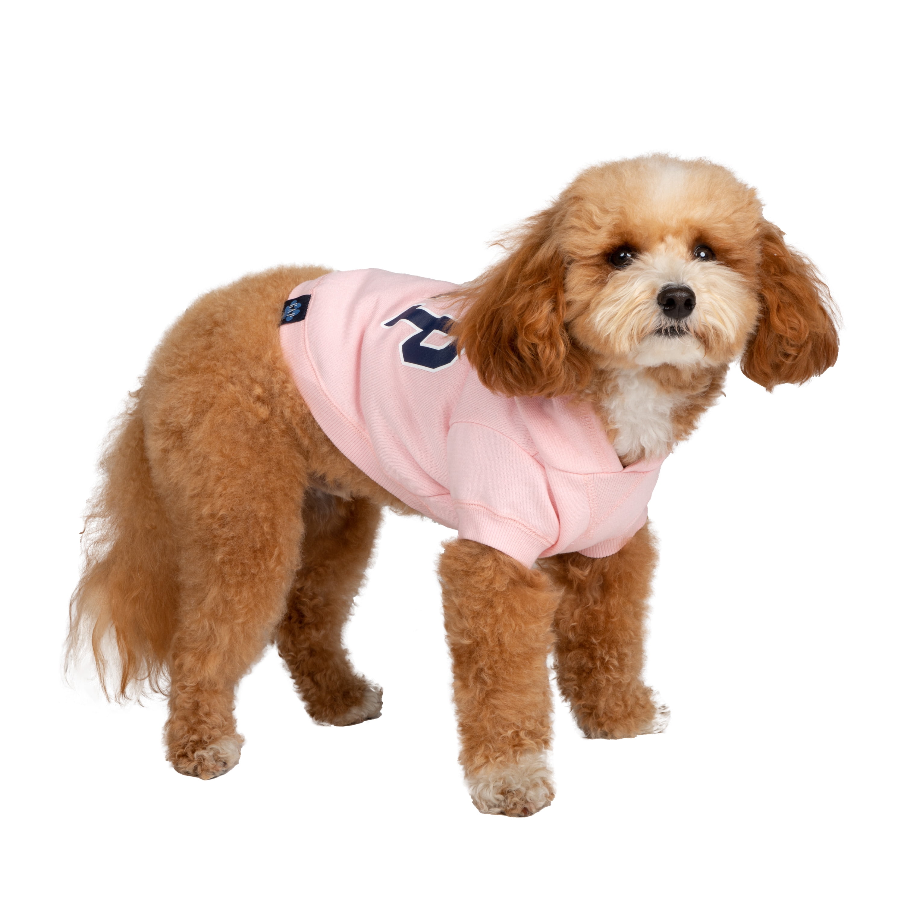 Gap Pet, Dog Clothes, Pink Classic Pet Hoodie